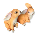 CUTY BUNNY , SET OF 2, CUTE RABBITS FOR GARDEN DECOR-ANUB001RGD
