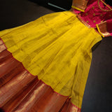 Tanishq, Elegant Pure Organza Long frock-TANI001F