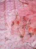 Pastel Pink soft light  weight Organza Saree for women -GARI001PS