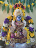 Vanamala, Elegant Fully decorated Vara Lakshmi Amman for Puja-SILVA001VLA