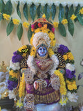 Vanamala, Elegant Fully decorated Vara Lakshmi Amman for Puja-SILVA001VLA