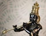 Shyamhare, elegant Lord Krishna statue in Brass-MK001LK