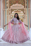 Navratri Special Pink  Bagru hand block printed  cotton designer Lehenga choli with mulmul Duppatta -JAY001CLP