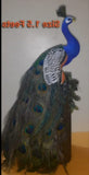 Beautiful Real look Peacock Pair for Diwali Decoration-POSH001P