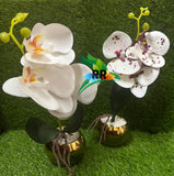 Golden flower Vase arranged with lovely orchid sticks and stones~home and office decoration -SKD001OF