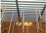 Beautiful Marigold Tuberose Hanging for Decoration-SHARA001TR