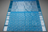 Meenakshi , Turquoise Blue Pure Kanjivaram Silk Saree with Silver Zari and Motifs-PRIYA001TSZ