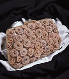 Rose Gold Shade Modern Rose Art Design Premium Clutch for Women-TBC001RCRG