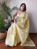 Semi  Organza Saree with beautiful color full lucknowi embroidery all over saree and silk blouse-GARI001OS