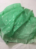 Pista green chanderi saree silk and cotton saree